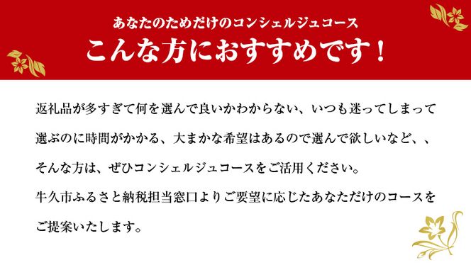あなただけの プレミアム コンシェルジュ コース ( 150万円 ) 特別 オーダーメイド サービス [ZZ009us]