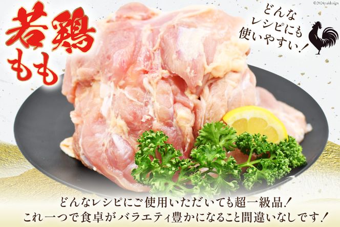 肉 鶏肉 宮崎県産若鶏モモ肉 計3kg [九州児湯フーズ宮崎支店 宮崎県 日向市 452060756] 冷凍 小分け もも肉 モモ肉 若鶏 真空