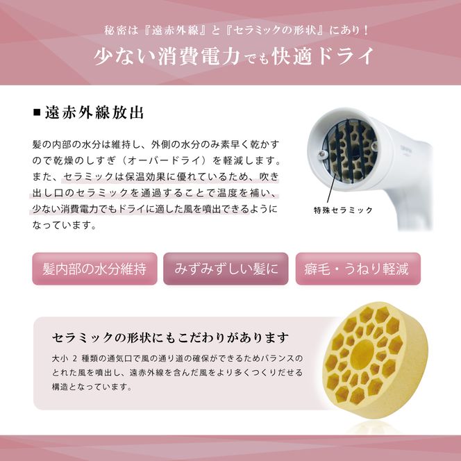 ドライヤー ケアライズ イオン プロドライヤー 強風 タイプ TF-2408 ダメージ 軽減 温風 冷風 