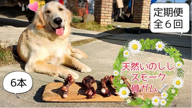 FB146_大型犬向け☆天然いのししのスモーク骨ガム6本【定期便】全6回／みやき町