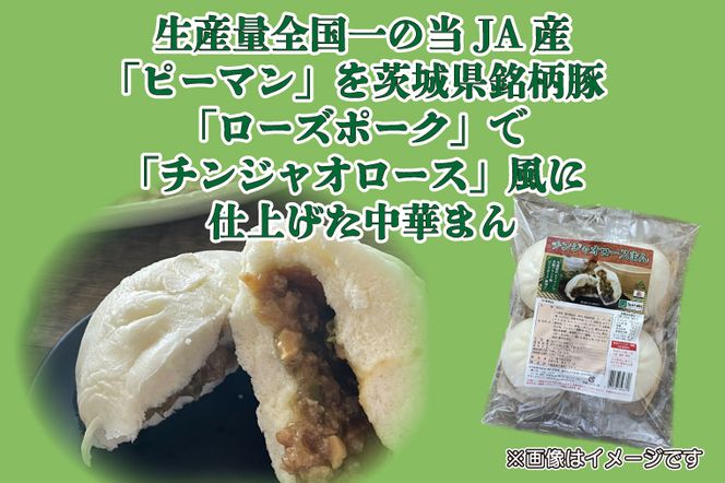 AE-79【ローズポーク使用】JA・ニラたっぷり肉餃子（30個）＋