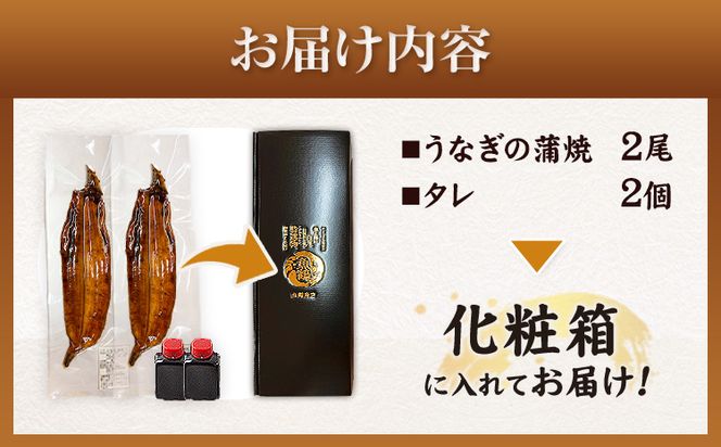 大型サイズ ふっくら柔らか国産 うなぎ 蒲焼き 2尾 化粧箱入(真空パック入) 株式会社魚鶴商店《30日以内に出荷予定(土日祝除く)》 和歌山県 日高町 うなぎ 鰻 ギフト 贈り物---wsh_futsuna_30d_23_21000_2p---