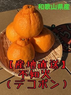 【産地直送】☆不知火☆家庭用☆約5kg AL10