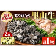 国産黒毛和牛 牧草育ちの里山牛 センマイ・ホルモンミックス計1kg a5-277