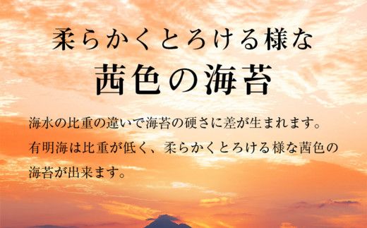 福岡有明海産　一番摘み 味海苔 20個入り