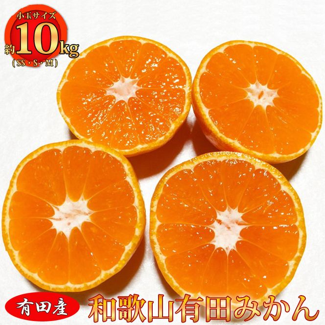 【ご家庭用】和歌山有田みかん約10kg(SS、S、Mサイズ)【美浜町】 ※2023年10月下旬頃～2024年1月中旬頃に順次発送予定 ※北海道・沖縄・離島への配送不可