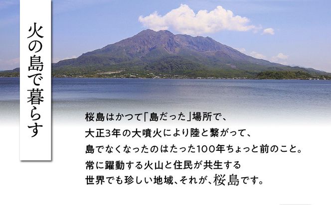 桜島つばきハンドクリーム セット本数が選べる！ 2本セット～　K062-014