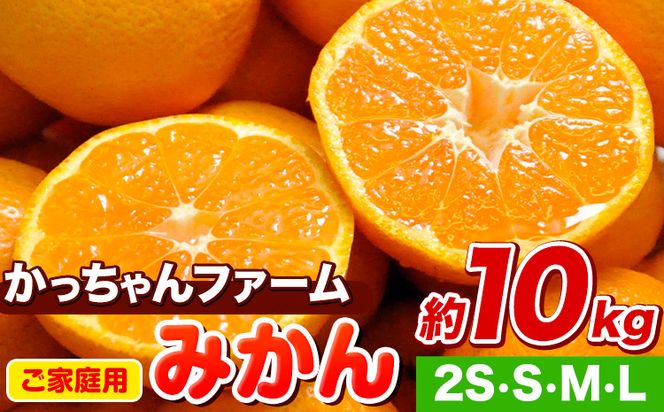 ご家庭用『かっちゃんファーム』のご家庭用みかん★ 約10kg【2S・S・M・Lサイズ(大小サイズ混合)】 自然本来のおいしさ！《11月上旬-1月中旬より順次出荷(土日祝除く)》---sg_wkacmkn_ae1101_23_10000_10kg---