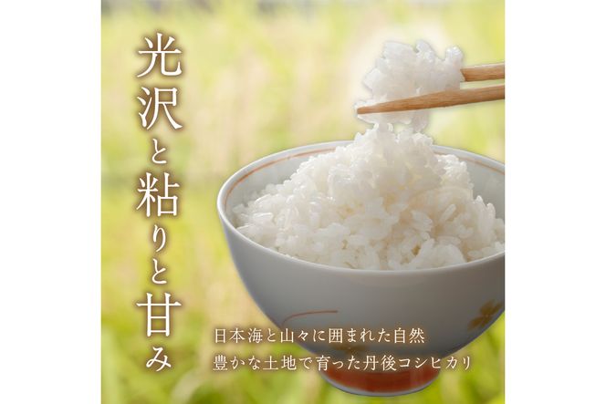 【3ヶ月定期便】直売所直送「令和6年産　京丹後市産　コシヒカリ」　精米5kg　JA00060