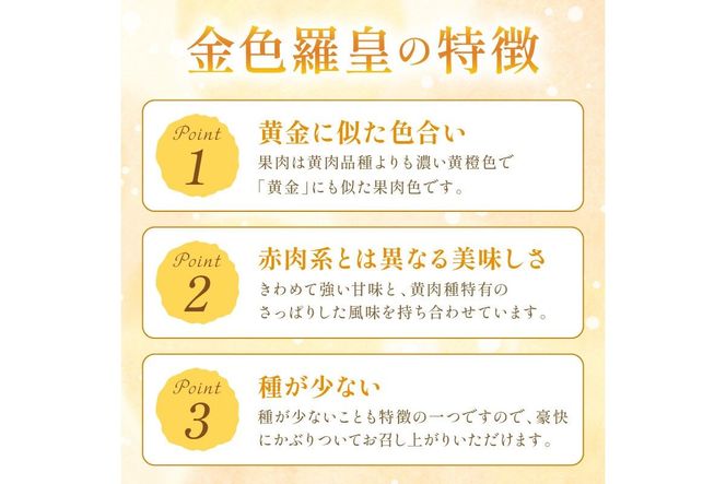 【先行予約／数量限定50】夕日ヶ浦すいか（金色羅皇） 1玉（2026年7月中旬～発送）　国産 スイカ すいか 西瓜 2024フルーツ ふるーつ 果物 くだもの 農家応援 生産者応援 JK00042