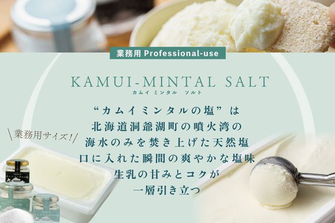 【THE ICE】 KAMUI-MINTAL SALT（カムイ・ミンタルソルト）ジェラート セット