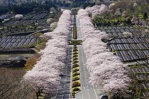 yÉxSRzQ47ym쉀{ݗpi40j