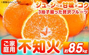 【ご家庭用】紀州有田産不知火(しらぬひ) 約8.5kg 魚鶴商店 《2月上旬-3月下旬頃出荷》 和歌山県 日高町 不知火 みかん 柑橘 果物 フルーツ 送料無料---wsh_utshkas_ak2_23_20000_8500g---