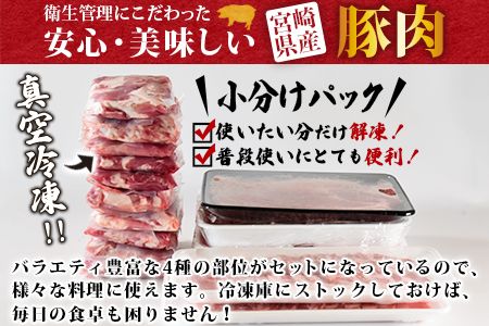 ＜宮崎県産豚肉 バラエティーセット4.4kg＞翌月末迄に順次出荷【a0629_ty】