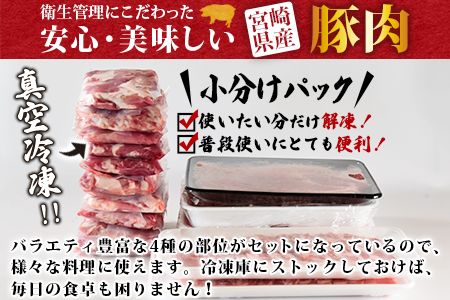 ＜宮崎県産豚肉 バラエティーセット4.4kg＞翌月末迄に順次出荷【b0629_ty】