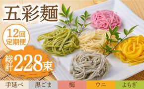 【12回定期便】五彩麺 セット（19束）/ そうめん 素麺 黒ごま 梅 うに よもぎ / 麺 乾麺 食べ比べ 詰め合わせ カラフル / 南島原市 / のうち製麺 [SAF032]