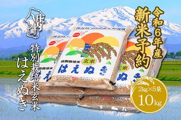 新米受付　令和6年産米　特別栽培米玄米はえぬき　10kg