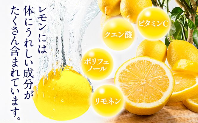 レモン 約2kg と 手搾り100％レモン果汁 1本 セット《12月中旬-2月末頃出荷》熊本県 玉名郡 玉東町 菅本果実園 檸檬 レモンジュース レモネード はちみつレモン---sg_sugarrj_bc122_25_12000_2set---