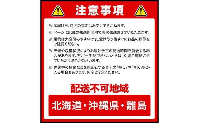 【2025年先行予約】 定期便3回コース 岡山のフルーツ ニューピオーネ 2房 (1房600g以上) シャインマスカット 晴王 2房 (1房600g以上) あたご梨 2玉 (1玉約750g) 化粧箱入り 株式会社山博(中本青果) 《2025年9月上旬-11月下旬頃出荷》 岡山県 浅口市 送料無料---124_c303tei_23_58000_sep3---