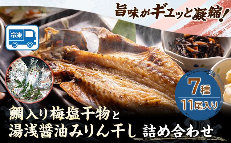 新鮮魚の鯛入り梅塩干物と湯浅醤油みりん干し7品種11尾入りの詰め合わせ(和歌山近海産の新鮮魚使用) 日高町厳選館[90日以内に出荷予定(土日祝除く)]和歌山県 日高町 魚 干物 7種 11尾 たい さば 真あじ 太刀魚 いさぎ うおぜ さんま 送料無料---wsh_fgenhset7_90d_22_16000---