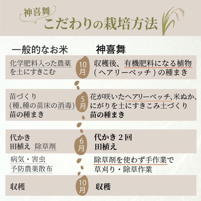 お米【神喜舞】玄米5kg《 お米 農薬不使用 玄米 5キロ 安心 安全 米 おこめ 国産 送料無料 ヒノヒカリ 》