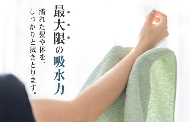 099H1668 驚きの高吸水タオル『プレーン』バスタオル 6枚セット【泉州タオル 国産 吸水 普段使い シンプル 日用品】