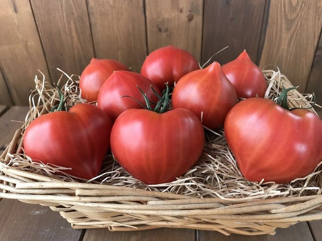 【2026年度予約分】【人気No.1セット】ファンにならずにいられない ファーストトマト＆トマトベリー 計約1.4kｇ（3月～5月で発送）　H004-149