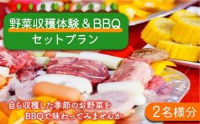 野菜 収穫 体験 と BBQ セット プラン (2名様分) / 南島原市 / ミナサポ [SCW016] 