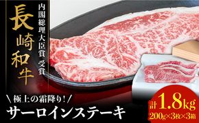 【極上の霜降り！】 長崎 和牛 サーロイン ステーキ 200g×3枚×3セット 計1.8kg / 肉厚 牛肉 贅沢 ジューシー 牛 ステーキ肉 / 南島原市 / ながいけ[SCH056]