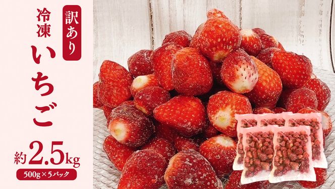 【 訳あり 】 冷凍 いちご 約2.5kg ( 500g × 5パック ) イチゴ 苺 アイス 冷たい 旬 凍眠 小分け 新鮮 お得 品種ランダム [AU069ya]
