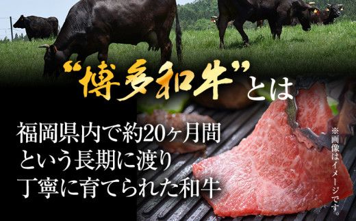 訳あり！博多和牛焼肉切り落とし　500g