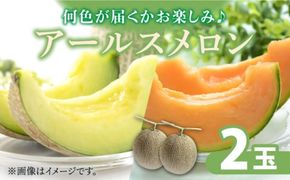 【2026年11月中旬～発送】アールスメロン (2玉) 南島原市 / JA島原雲仙東南部基幹センター[SAC004] 