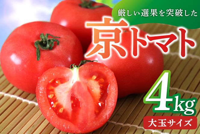 【先行予約】京丹後産・京トマト 4kg（12～24玉） 春夏発送（2025年5月中旬～発送）　JK00011