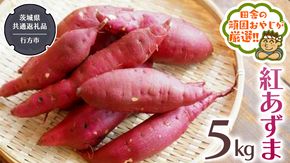 紅あずま 5kg 【2025年10月から発送開始】（茨城県共通返礼品 [さつまいも]：行方市産） さつまいも 紅あずま 芋 いも 野菜 [BI412-NT]