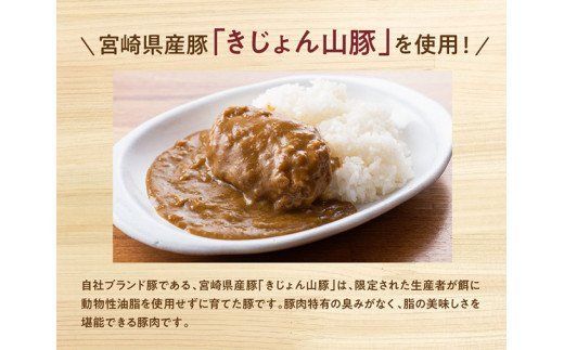 ハンバーグ 山豚ハンバーグカレー１８０ｇ×９袋☆ [G7506]