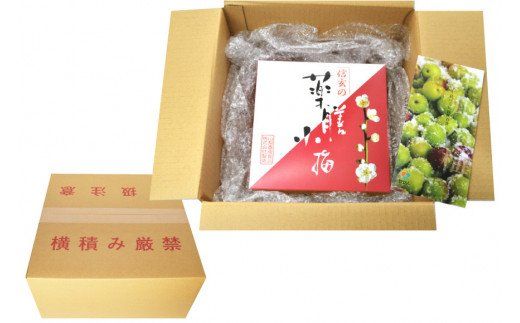 やわらか】信玄の薬膳小梅干 600g×1 [山梨農産食品 山梨県 韮崎