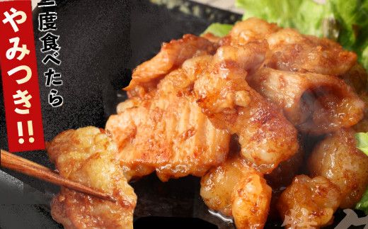 ヤマジュウの特製タレ漬け！国産牛ホルモン６００ｇ【３回定期便】_yj084