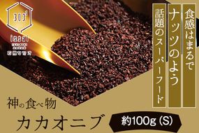 神の食べ物 カカオニブS 100g 石挽カカオissai 《30日以内に出荷予定(土日祝除く)》 岡山県 矢掛町 スーパーフード カカオ豆 スイーツ デザート---iosy_ishicacao_30d_25_9000_s---