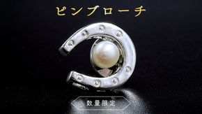 【 数量限定 】 ピン ブローチ アクセサリー ジュエリー レディース シルバー パール 記念 ギフト 贈り物 [BU005us]