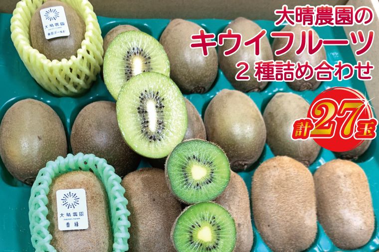 [先行予約]「緑と味覚の里 内牧」大晴農園のキウイフルーツ2種詰め合わせ 27玉入り[2024年11月上旬より発送開始]