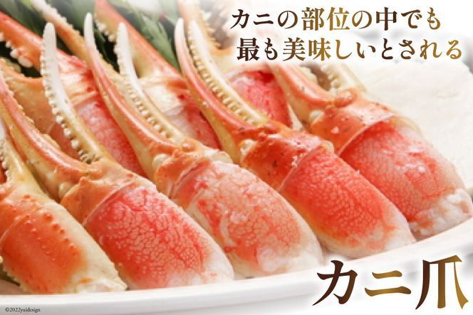 【年内配送 12/15まで受付】リピーター続出！ 本ずわいがに爪 約700g 蟹 かに カニ ずわいがに ズワイガニ ずわい蟹 ズワイ蟹 ずわい ズワイ 蟹 カニ爪 蟹爪 カニ爪肉 つめ 爪 ボイル [カネダイ 宮城県 気仙沼市 20564321_CF02]