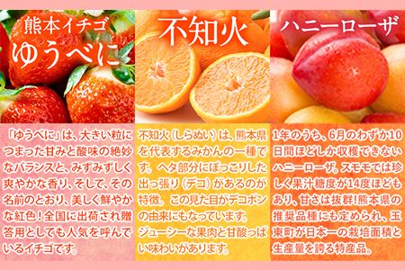 ぎょくとうセレクト アイスアソートセット 12個(全5種)《60日以内に出荷予定(土日祝除く)》 熊本県玉名郡玉東町 すもも ハニーローザ いちご イチゴ いちご しらぬい 不知火 チョコ チョコレート ヨーグルト アイス シャーベット ぷらっとぎょくとう---sg_fgkticemonaka_60d_18500_12p---