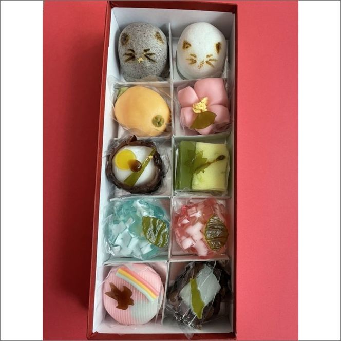 猫 NEKO-NO-EN(ねこのえん),季節の上生菓子10ヶ入セット　TD00009