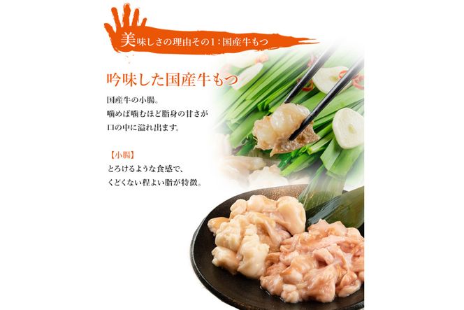 もつ鍋 【九州名物とめ手羽】 博多もつ鍋 セット 5~6人前 九州しょうゆ味 モツ鍋 国産牛 / フェリックス / 福岡県 筑紫野市 [21760208]