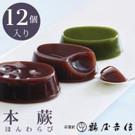 夏限定 本蕨 12個入 こしあん／小倉／抹茶 3種類＜京菓匠 鶴屋吉信＞《本わらび わらび餅 わらびもち 和菓子 お菓子 ギフト お中元 デザート》※2026年4月中旬頃より順次発送