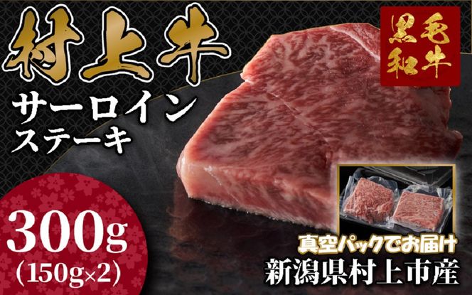 yVsz㋍ T[CXe[L 150g×2 C4090
