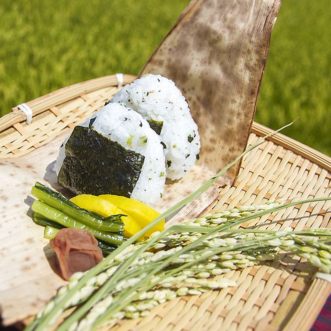 贈答用ななひかり米 2kg（1kg×2）【 無洗米 】 米 こしひかり コシヒカリ こめ コメ ご飯 ごはん 茨城県 八千代町 12000円 贈答 贈り物 ギフト [AR004ya]