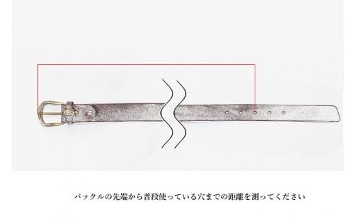 Bottega Glicine イタリアンレザー　プレーンベルト　172-004