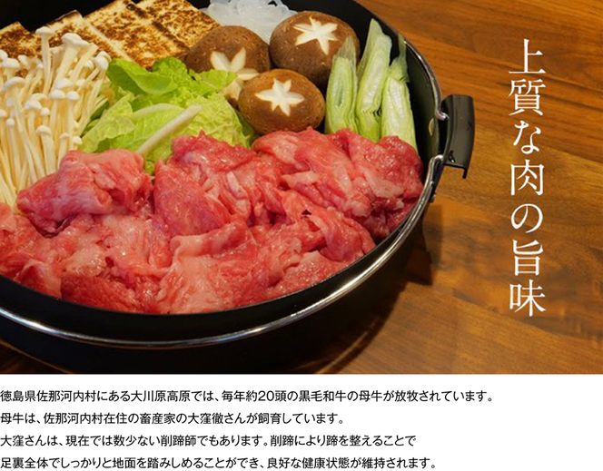 【CF】大川原高原牛  赤身モモスライス　500g《60日以内に出荷予定(土日祝除く)》---sanagouchi_nfw_6_500g---