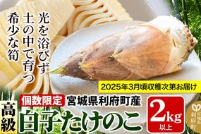 宮城県利府町産 採れたて 高級白子たけのこ 皮付き2kg以上（2〜6本）筍 タケノコ 野菜 国産 新鮮 旬|06_ods-010201